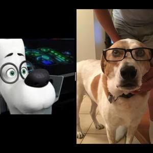 Meet your Posher, Jim